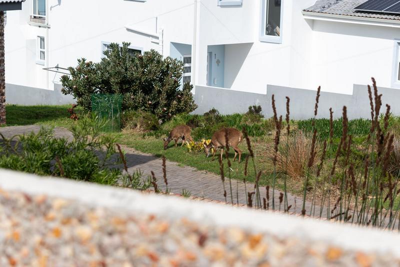 5 Bedroom Property for Sale in Dana Bay Western Cape